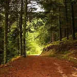 Aldeia Da Margarida Tarouquela