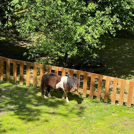 Aldeia Da Margarida Tarouquela