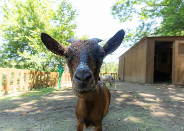 Aldeia Da Margarida منزل ريفي *