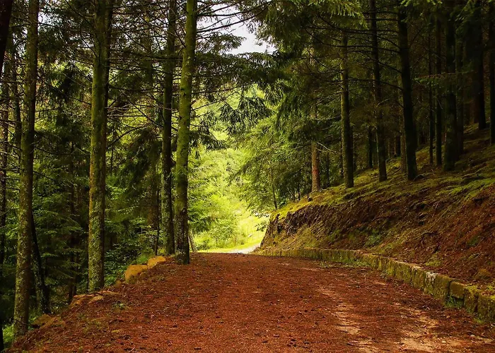 Aldeia Da Margarida Tarouquela