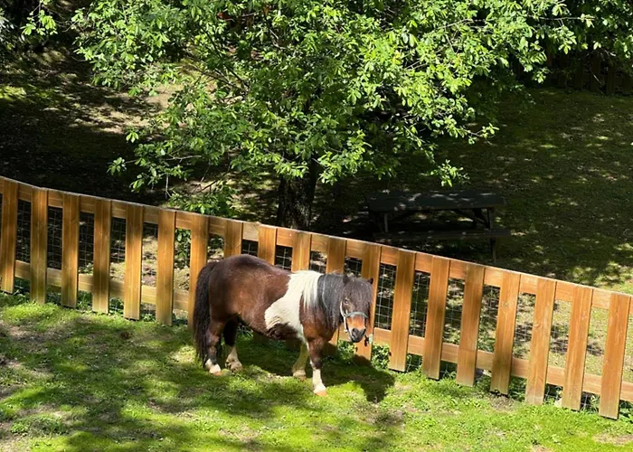 Aldeia Da Margarida Tarouquela